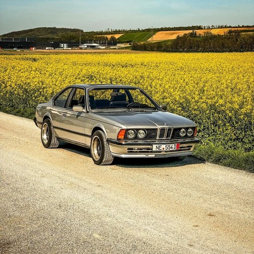 Bmw e24 werkstattprogramm - bmw,